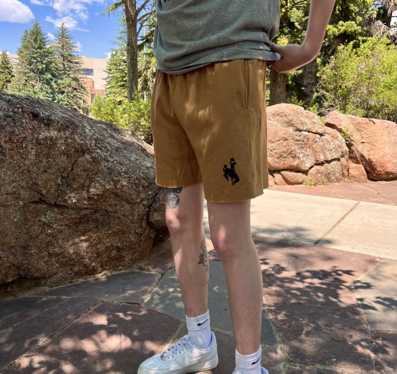 Champion shorts brown 2025