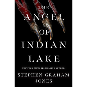 The Angel of Indian Lake (The Indian Lake Trilogy #3) - cover photo