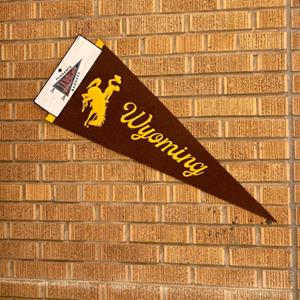Jardine® Pennant Flag Embroidered Brown Bucking Horse Script Wyoming