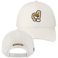 Legacy® Adjustable Cap Vintage Cowboy Joe