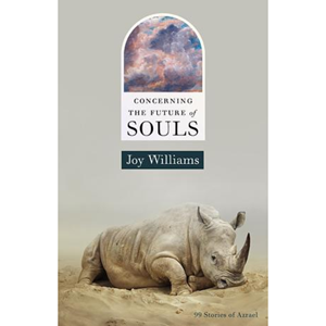 Concerning the Future of Souls: 99 Stories of Azrael - cover photo