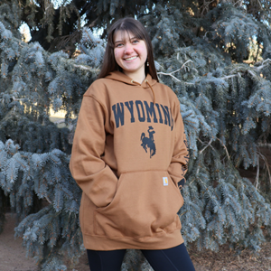 Carhartt® Arched Wyoming over Bucking Horse Hoodie