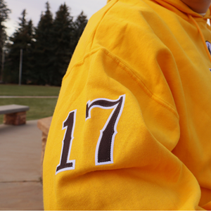 Wildcat Retro®  Wyoming 17 Front and Back Twill Hoodie -  3