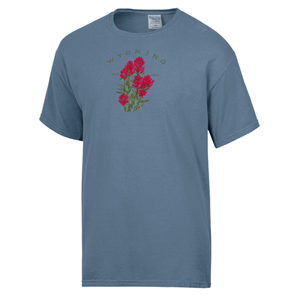 Gear® Wyoming Arched over Indian Paintbrush Comfort Wash Tee - main view