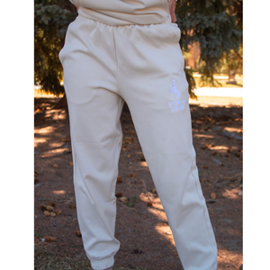 Under Armour Emrbroidered Joggers WY Cowboys