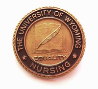 Nursing Pins